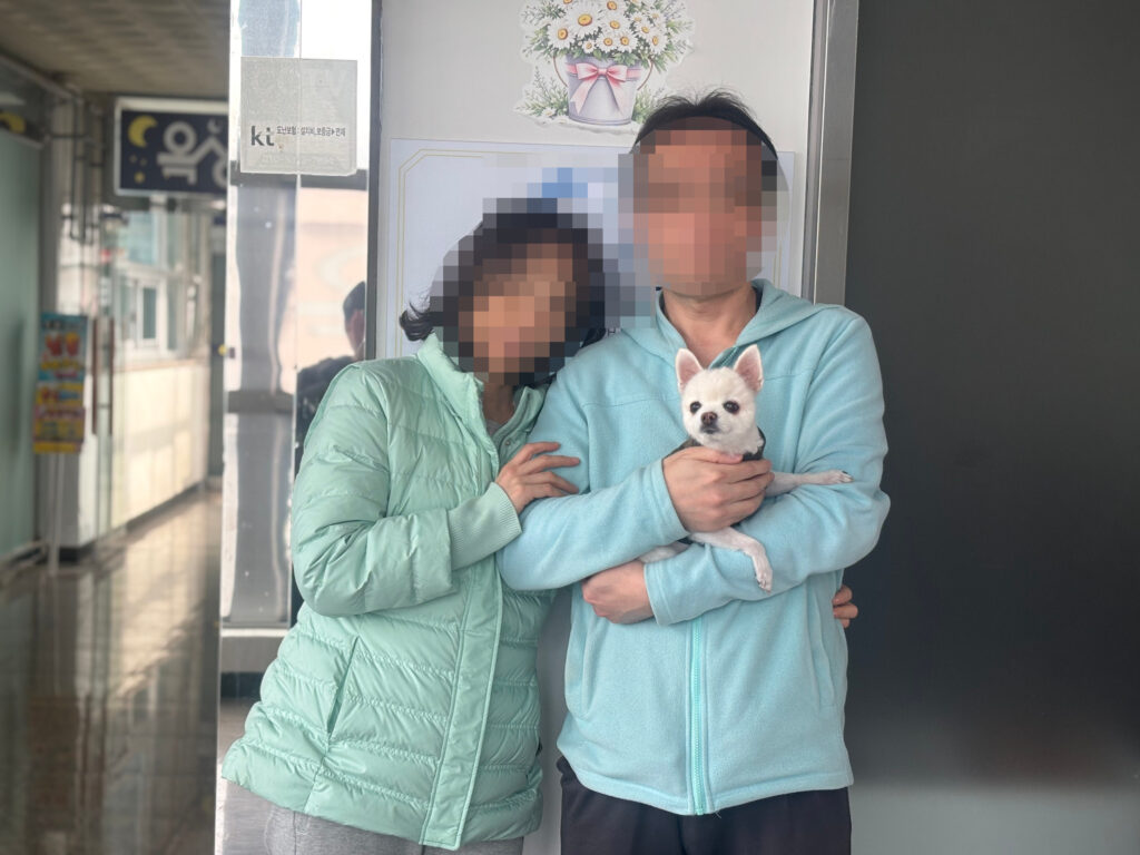 회복도 잘, 적응도 잘! 망고 이야기 😊