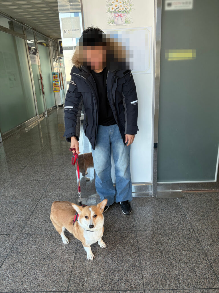 발라당까지 하는 쿠키, 완벽 적응 완료 🐾