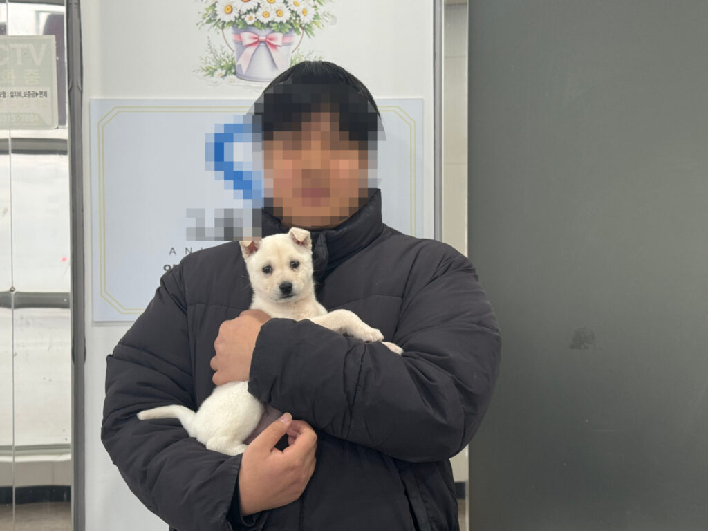 인형 꼭 안고 자는 몽실이의 하루 💛