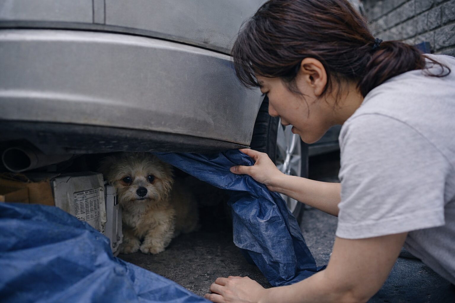 숨어있는 위치