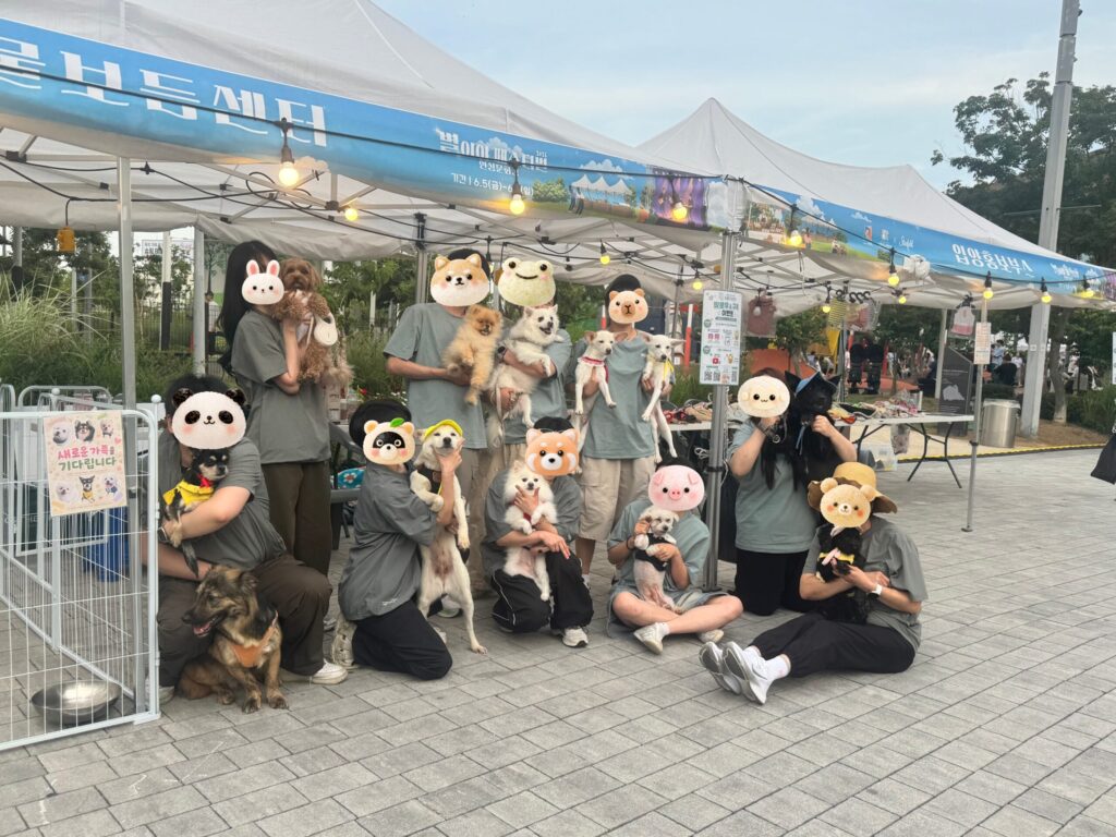 안성 스타필드 별이야 축제 다녀왔어요 [2편]