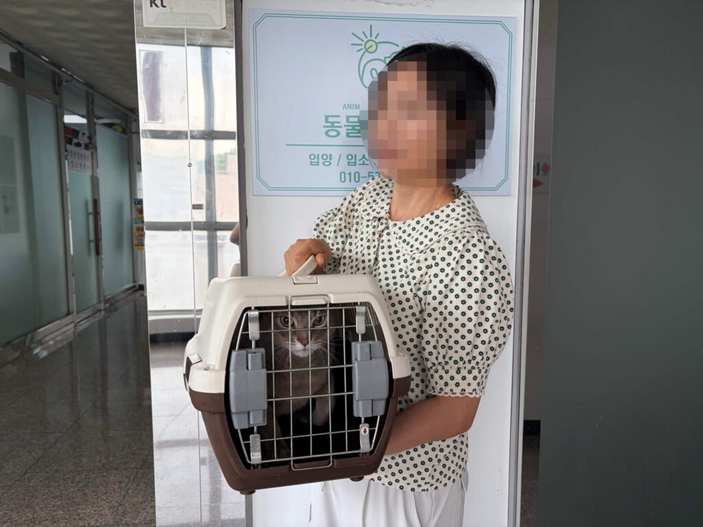 보호자 손길에 편안해진 우주 이야기 🐱