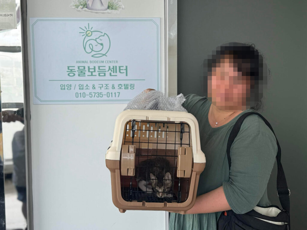 코숏 순경이, 작은 몸으로 씩씩하게 하루를 보내고 있어요