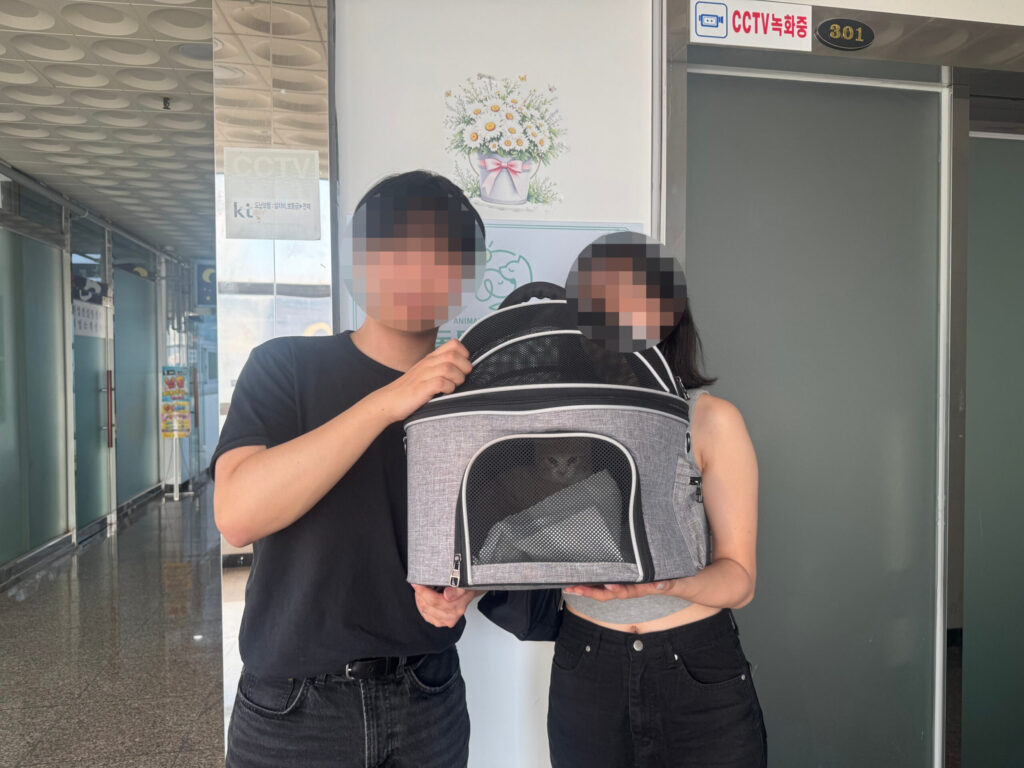 코숏 오월이, 사랑받으며 예쁘게 자라고 있는 근황
