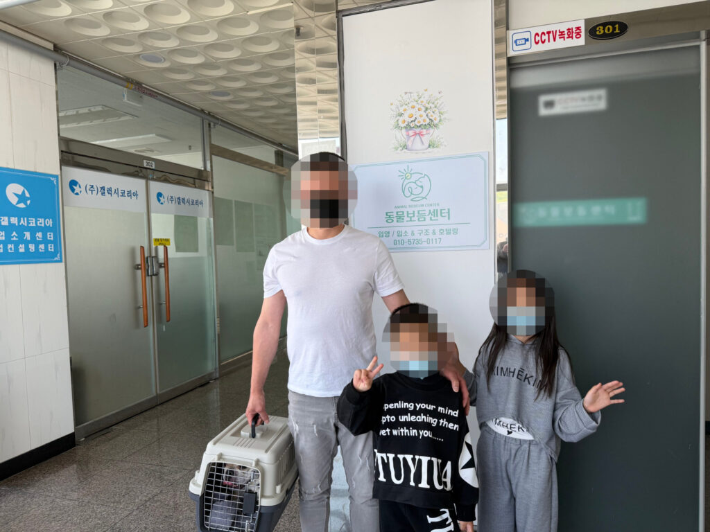 납작 엎드린 덕만이의 여전히 귀여운 일상 🤍