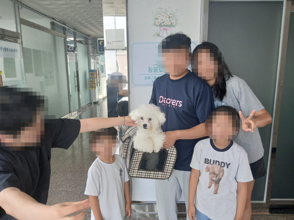 비숑 조이, 가족의 하루 속에 자연스럽게 스며들었어요