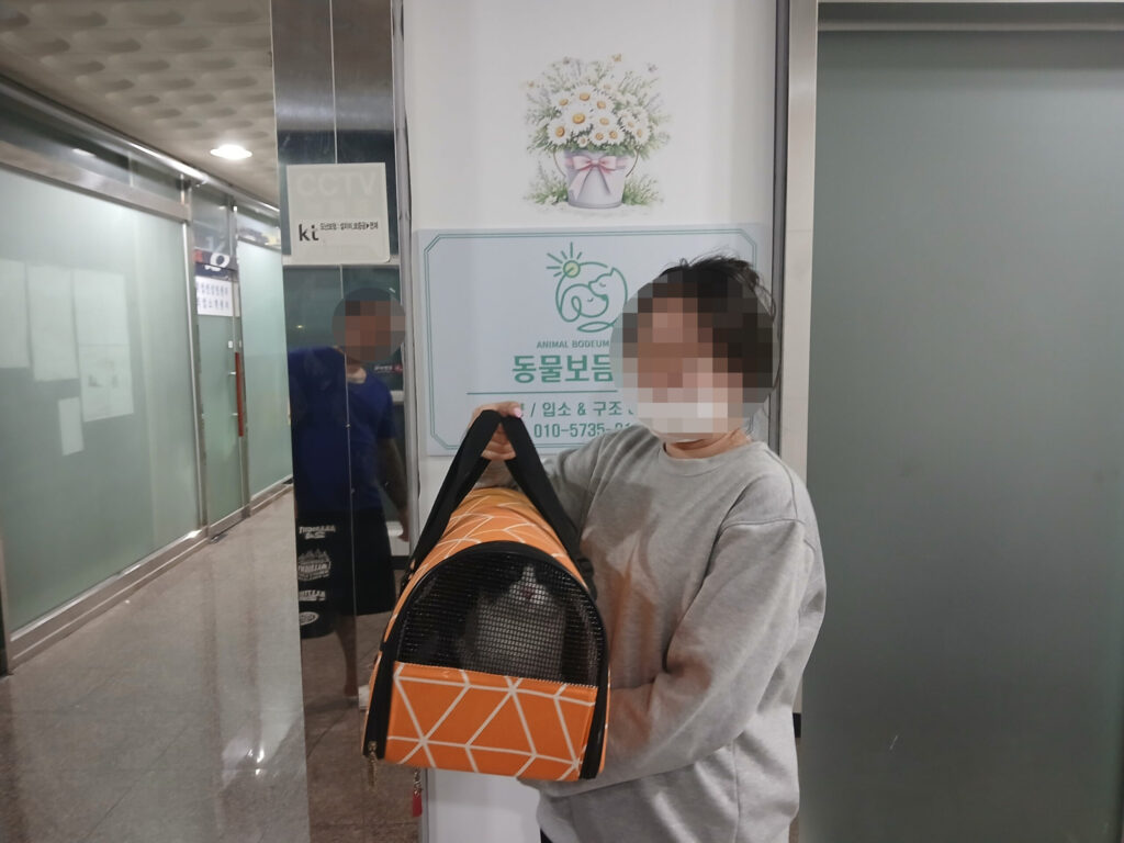 새 이름 동구로 시작하는 오르의 행복 적응기 🤍