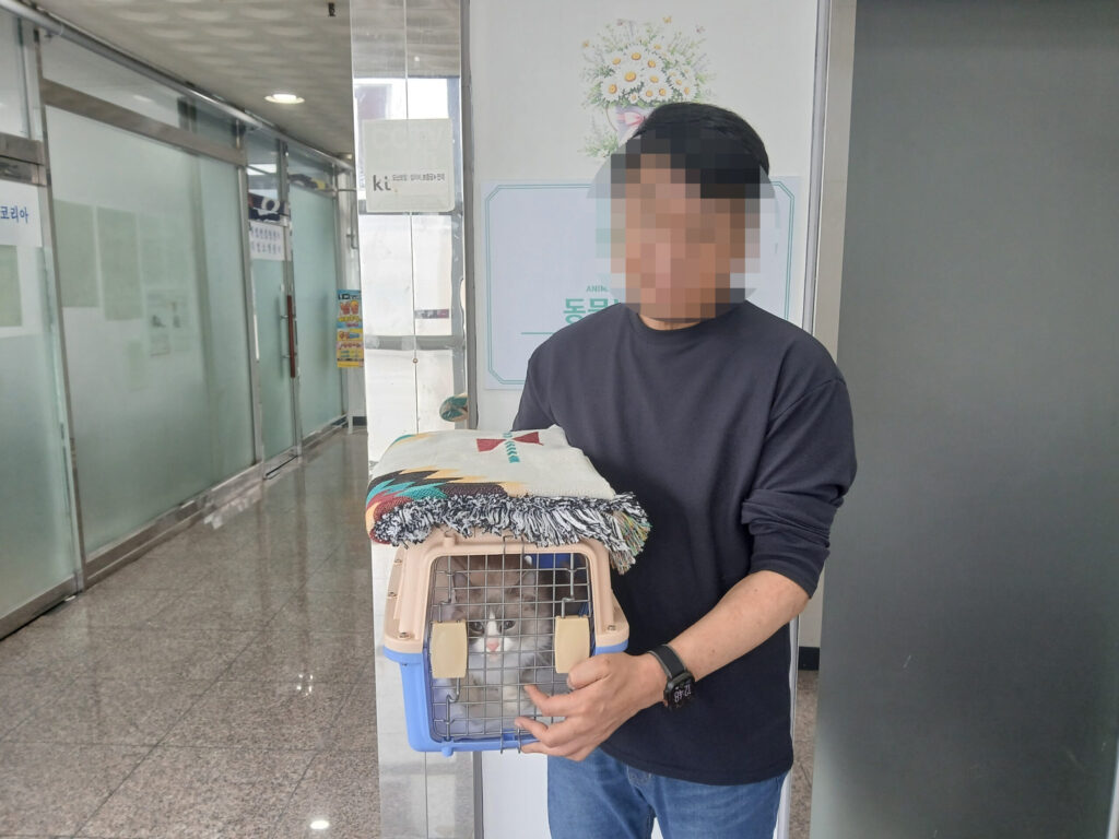조용히 스며든 아라의 따뜻한 적응 이야기 🐱