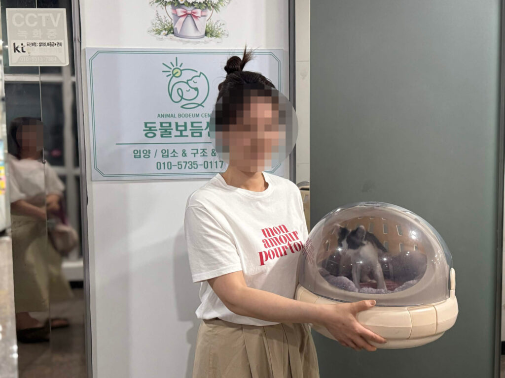 코숏 용인이, 코코라는 이름으로 씩씩하게 자라고 있어요