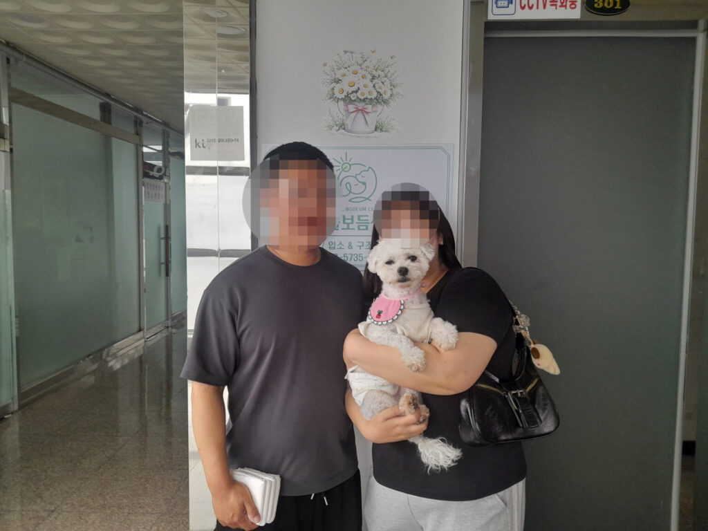 비숑 홍삼이, 가족들과 함께 웃는 날이 많아졌어요