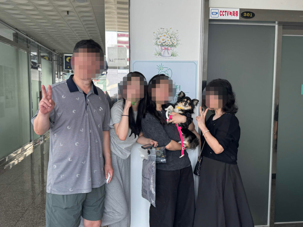 장모치와와 젤리, 이제는 집 안 곳곳이 다 편한 아이가 되었어요