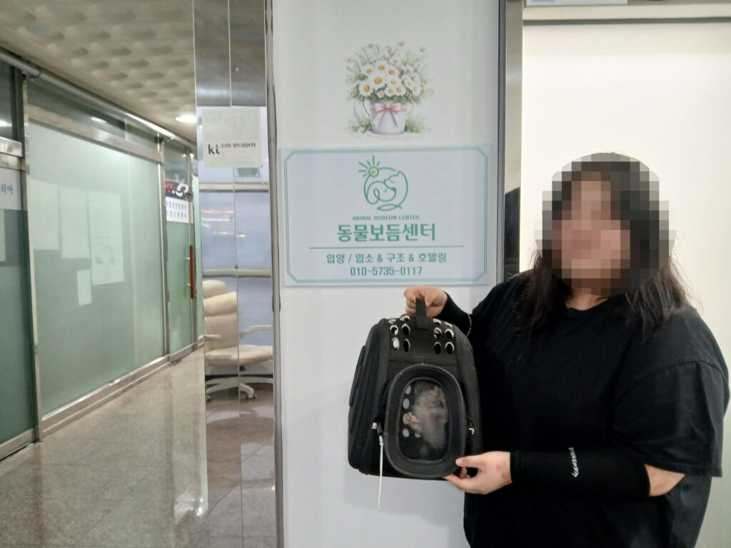 자기만의 공간을 찾은 루체의 조심스러운 새 일상 🤍