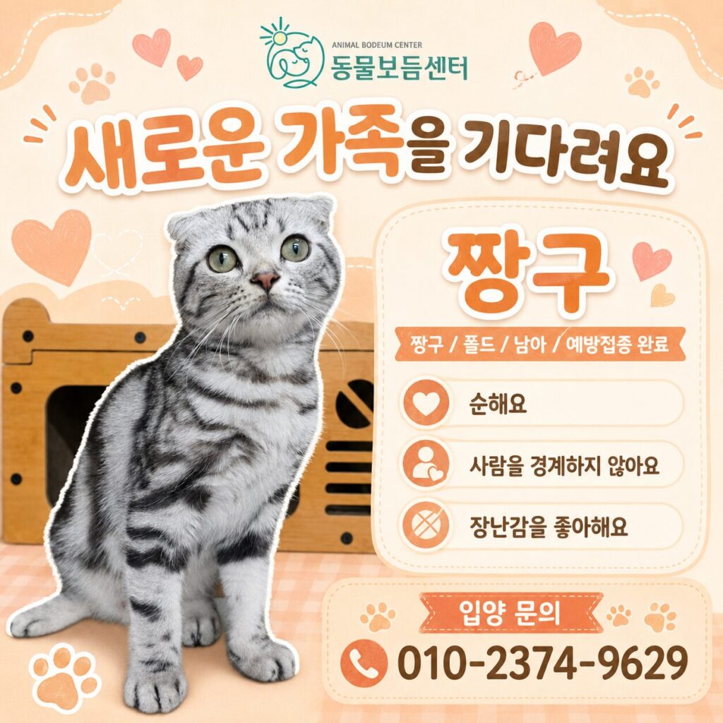 폴드 짱구의 가족을 기다립니다