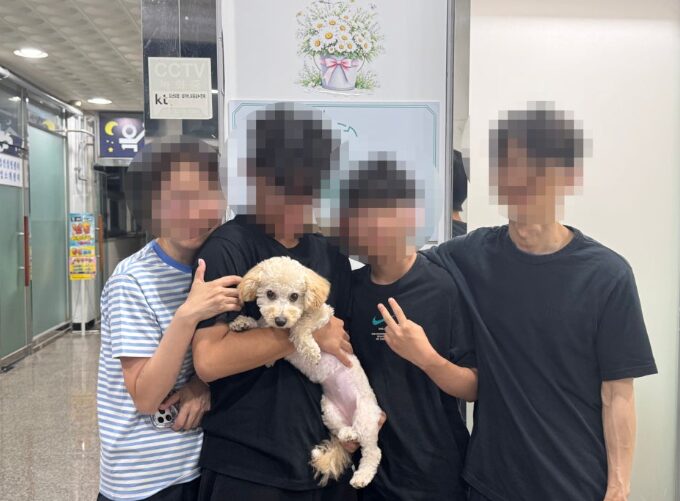 사랑스러운 강아지 망고, 행복한 새 출발을 시작했어요