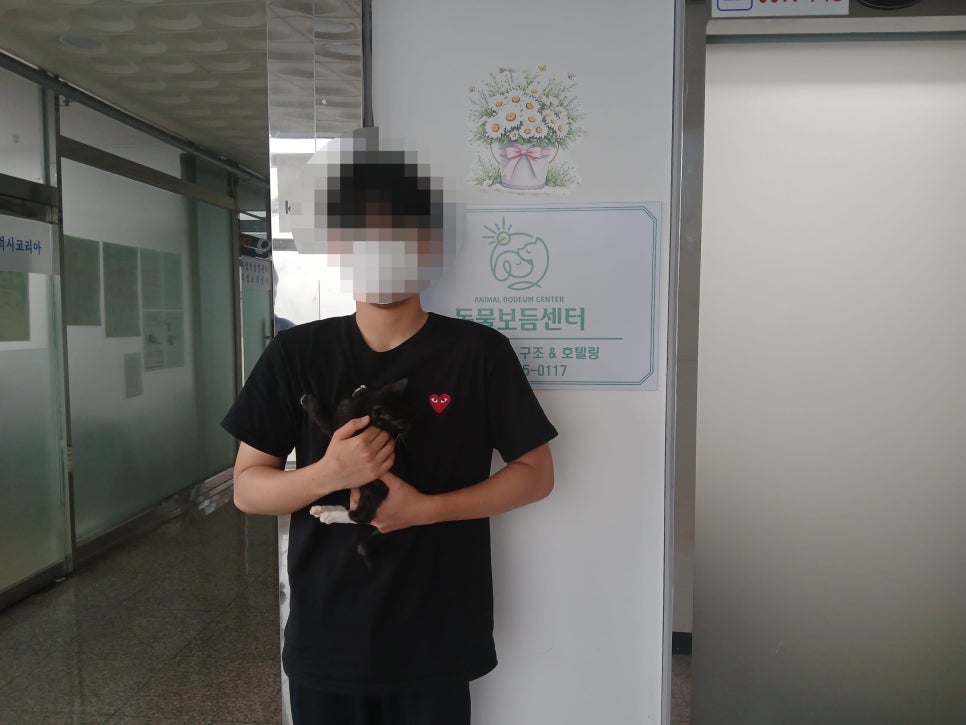 작고 사랑스러운 아가의 입양 이야기