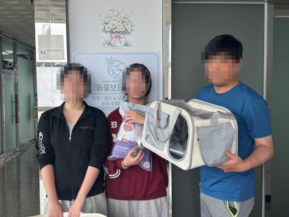 사랑을 하나씩 배워가는 아기 고양이, 동백이의 입양 후기