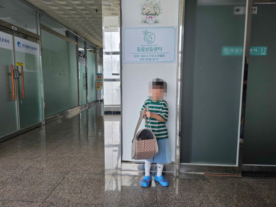 애교 많고 마음까지 착했던 고양이, 고춘홍의 입양 후기