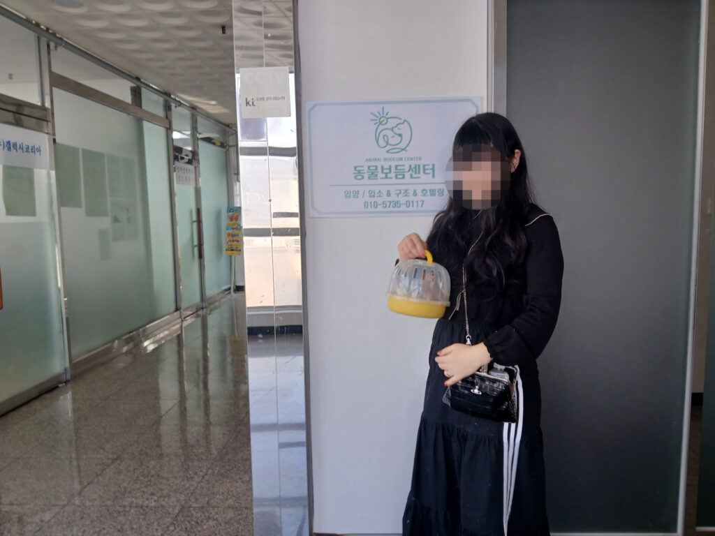 잠꾸러기 골든햄스터 덴지의 행복한 입양후기 🤎