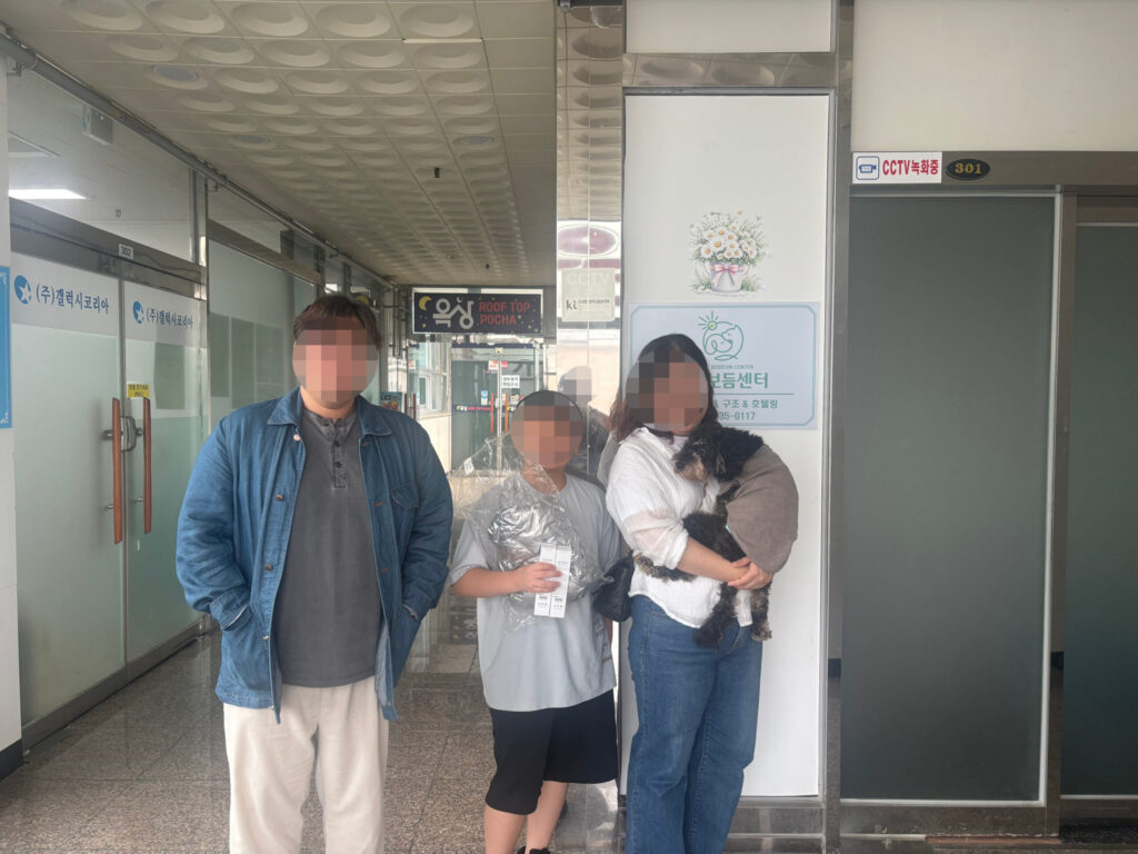 착하고 사랑스러웠던 말티푸 보리의 행복한 입양후기 🤎