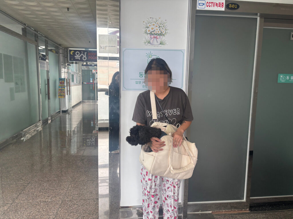 맑은 눈이 정말 예뻤던 말티푸 하늘이의 행복한 입양후기 🤍